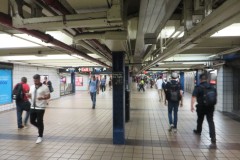 IMG_0951
