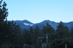 IMG_1410