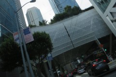 IMG_1527