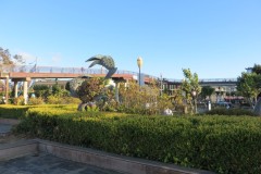 IMG_1555