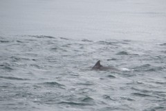 IMG_1738