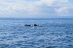 IMG_1806-2