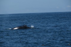 IMG_1840