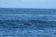 IMG_2015-3